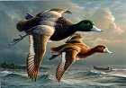 Duck Stamp